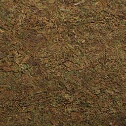 5 Inch Scale Moss Landscape 18"W X 36"L