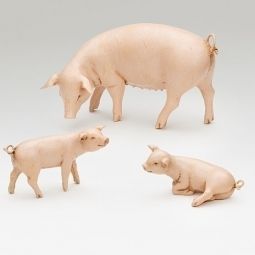 7.5 Inch Scale Pigs - Set of 3 by Fontanini