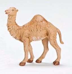 7.5 Inch Scale Baby Dromedary, by Fontanini